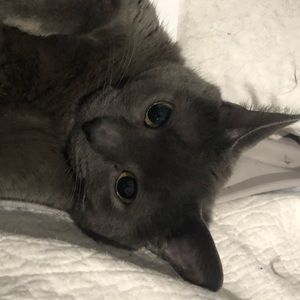 Meet your Posher, Lindsey